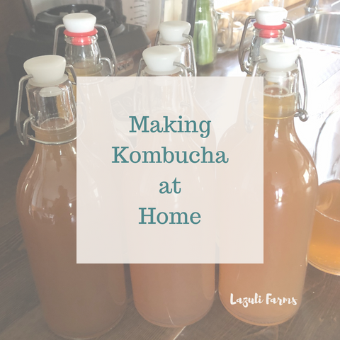 Health Benefits or Kombucha - Making it at home