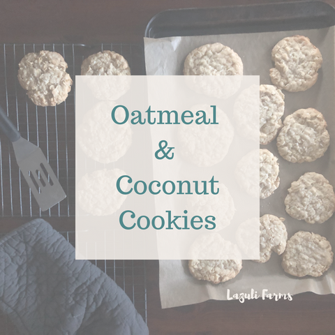 Oatmeal and Coconut Cookies Alberta Farm Cooking from Scratch