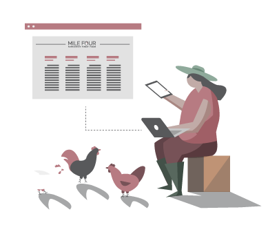chicken breeding business plan