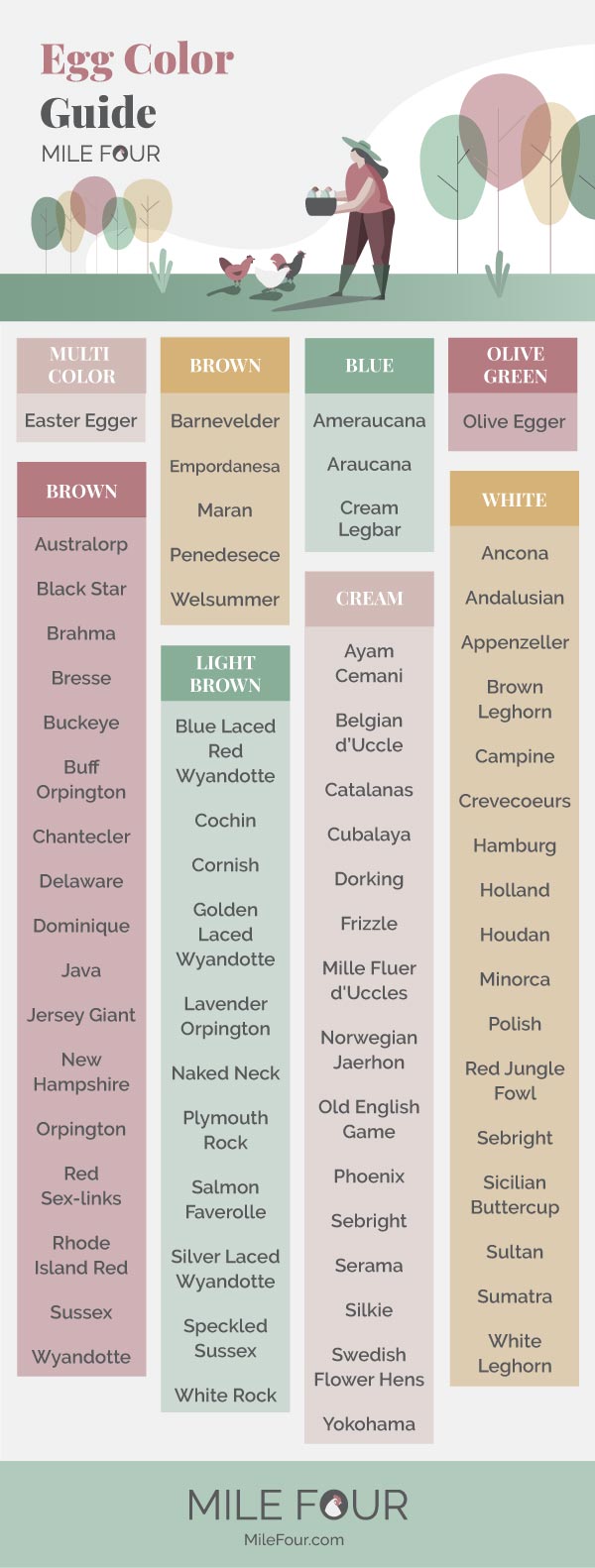 ameraucana egg color chart