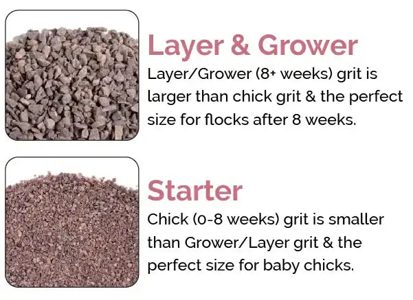 chicken grit, grit guide, chicken feed, organic chicken feed