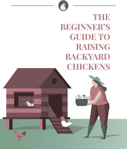 The Beginner's Guide to Raising Backyard Chickens