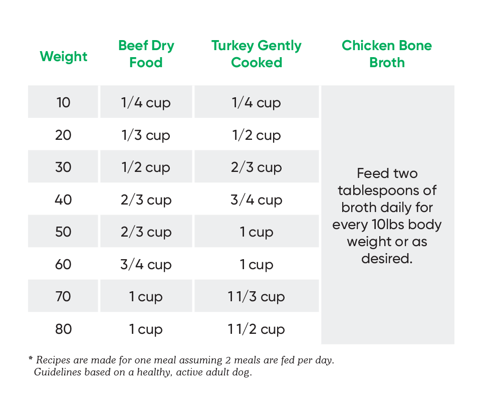 Feeding Guide For Active Dogs