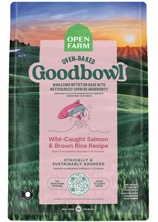 Goodbowl™ Wild-Caught Salmon & Brown Rice Recipe for Dogs