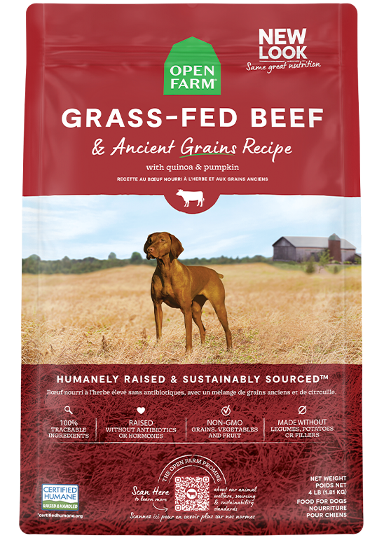 Grass-Fed Beef & Ancient Grains Dry Dog Food
