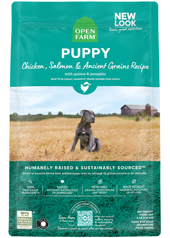 Ancient Grains High-Protein Puppy Food