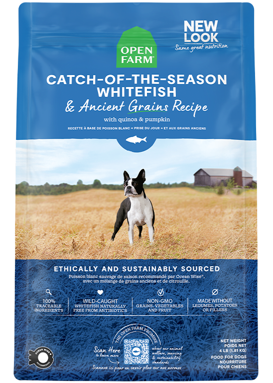 Catch-of-the-Season Whitefish & Ancient Grains Dry Dog Food