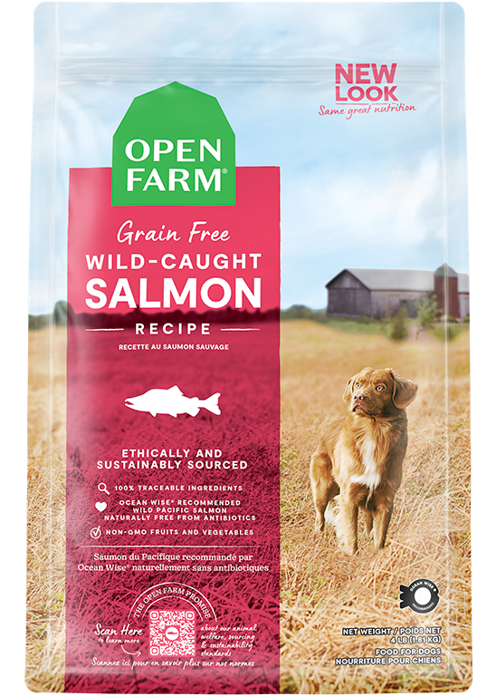 Wild-Caught Salmon Grain-Free Dry Dog Food