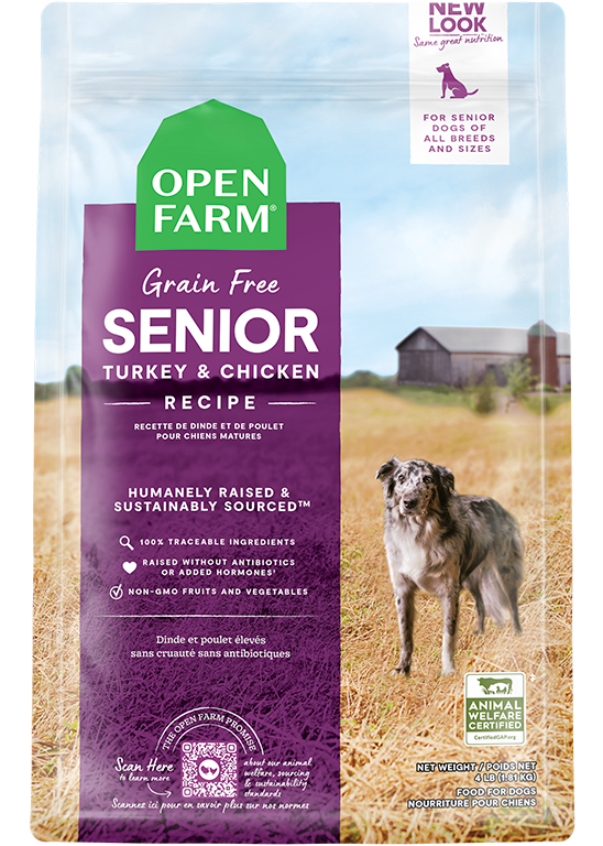 Senior Grain-Free Dry Dog Food