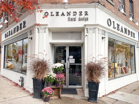 flower shop store front, white walls with oleander floral design logo, two black front store planters with fountain grass, chrysanthemum pots beside the planters and the door