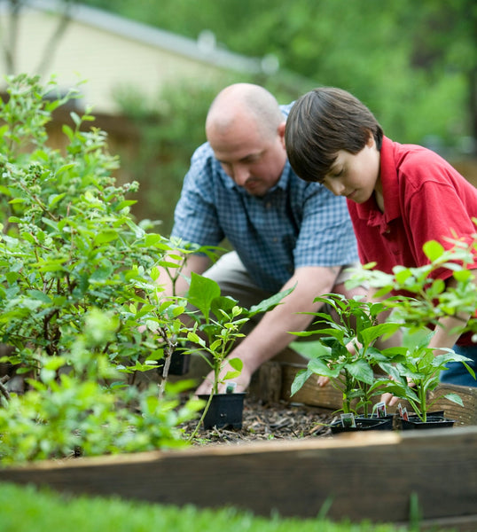 gardening