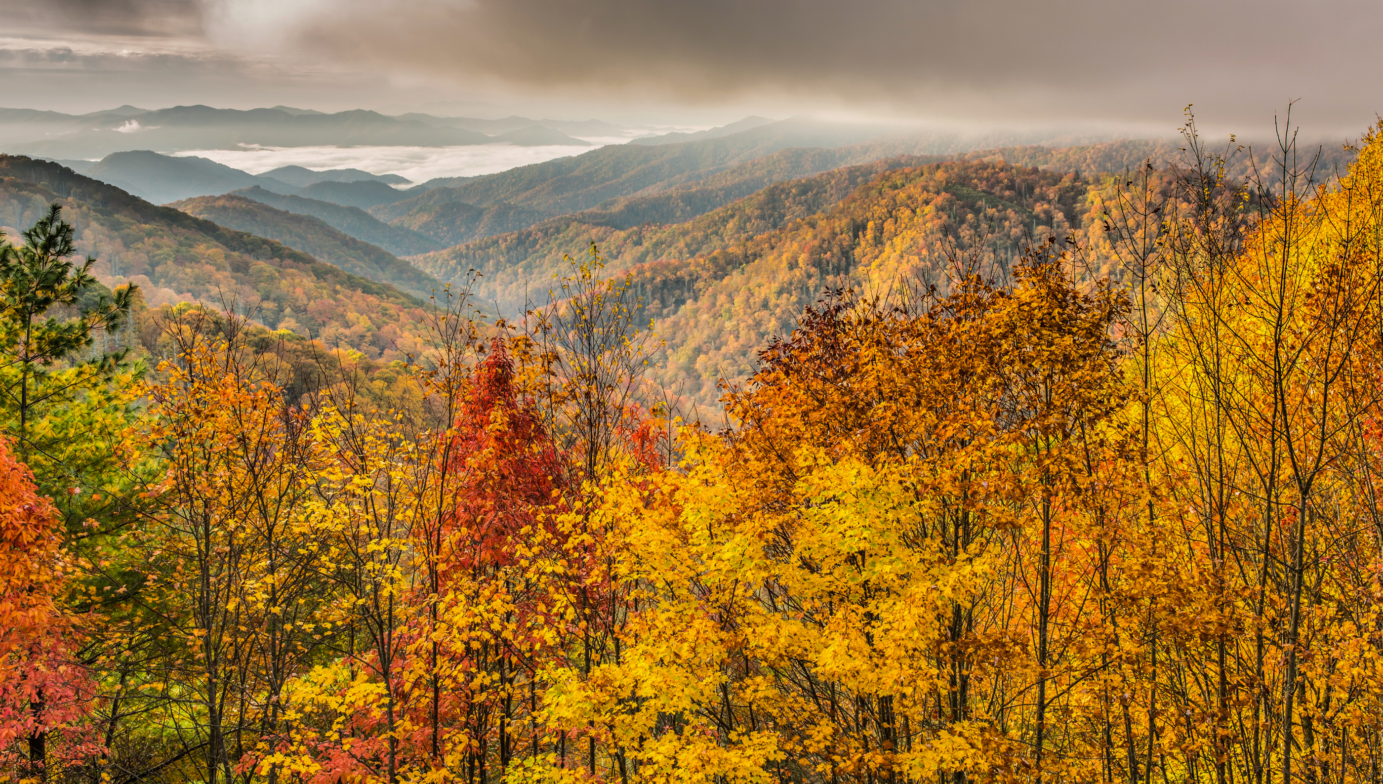 Great Smoky Mountain National Park Fall colors