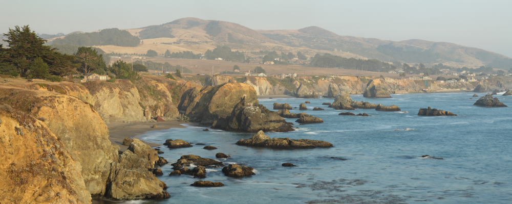 Sonoma Coast