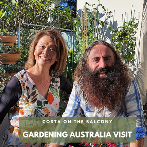 Gardening Australia Visits the Balcony