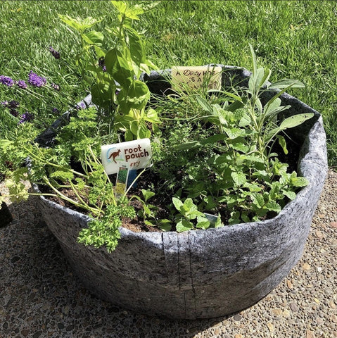 Herb Garden