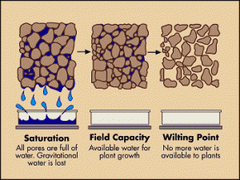 Water movement through soil