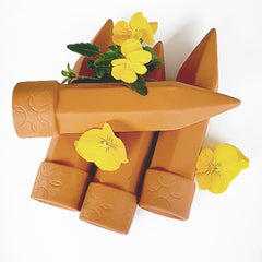 Terracotta water spikes for watering pot plants