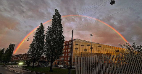 Ballonger i alla regnbågens färger. Här är en bild vi fångade av en regnbåge framför vårt kontor. Regnbågen har nästan lika många färger som våra ballonger, men våra ballonger är förpackade i 10-pack - med 10 st ballonger i varje genomskinlig påse.