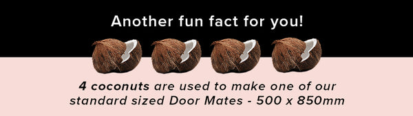 Fun Fact