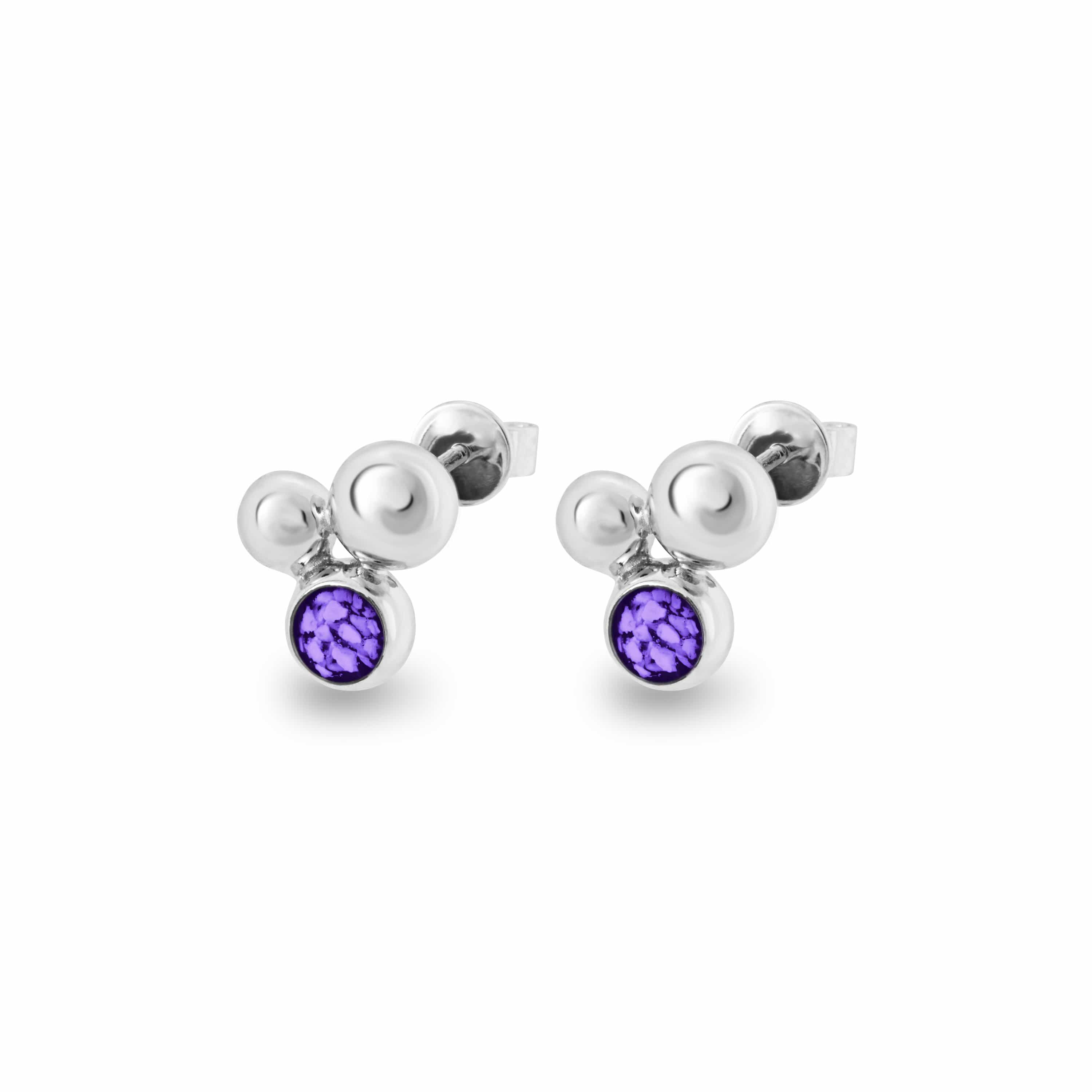 Ladies Rondure Array Memorial Ashes Earrings