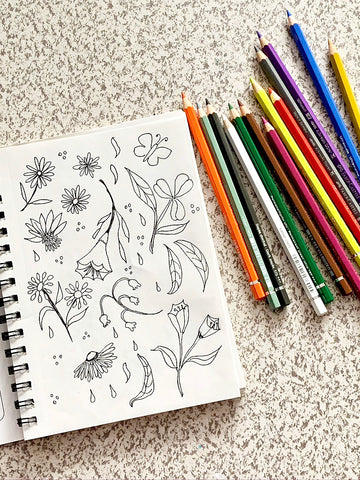 The daily sketchbook practice offers many benefits | Divineny.com