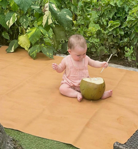 Play Ideas for an 8 month old Baby go outside