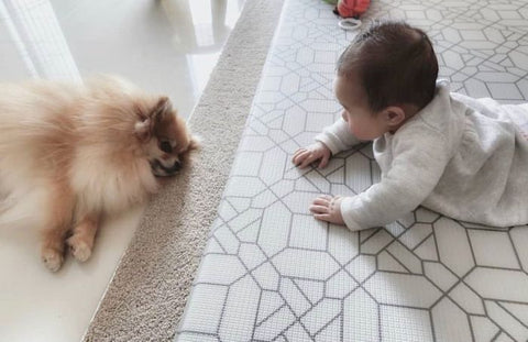 tummy time benefits for babies dog