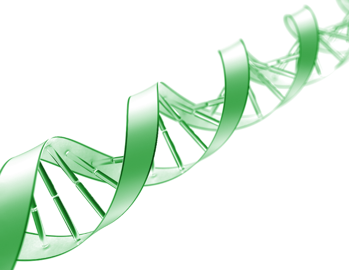 基因组DNA提取和成功技巧的目的