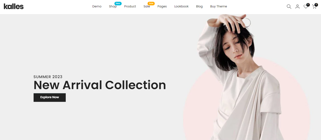 Best Shopify Themes