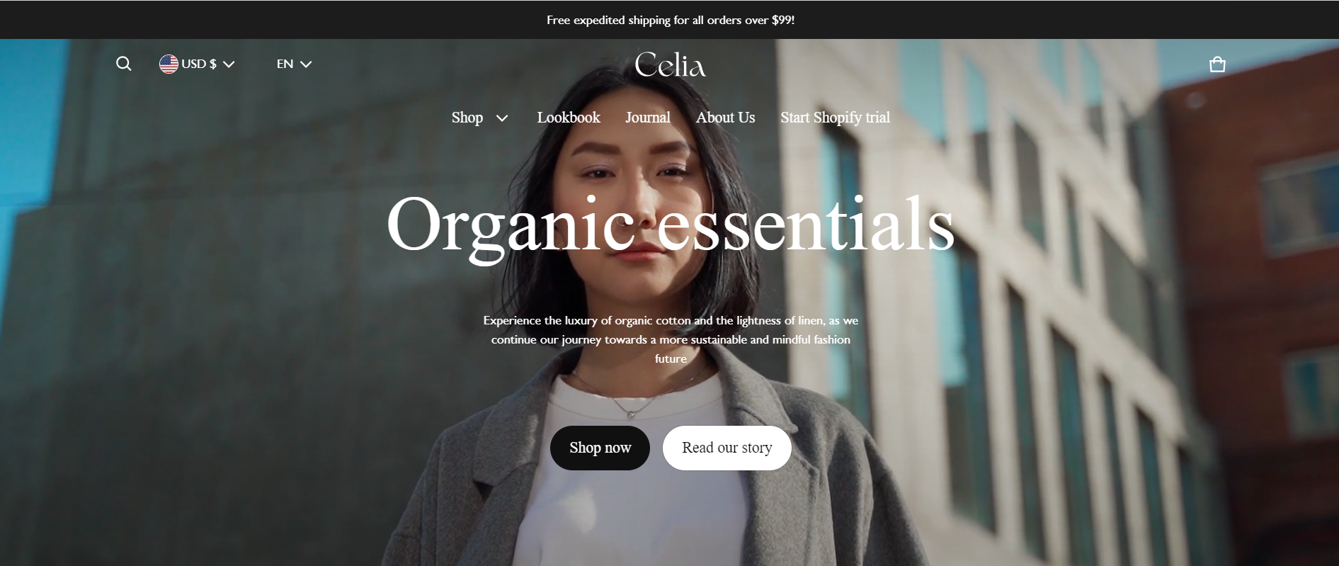 best shopify themes for clothing