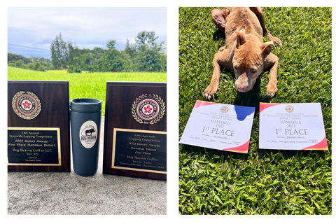 side by side pics of coffee cupping competition award