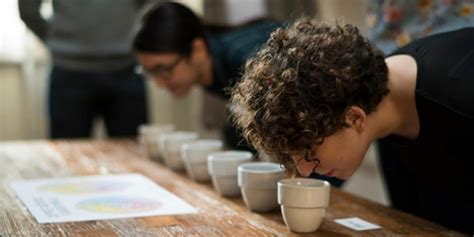 pic of coffee graders smelling coffee