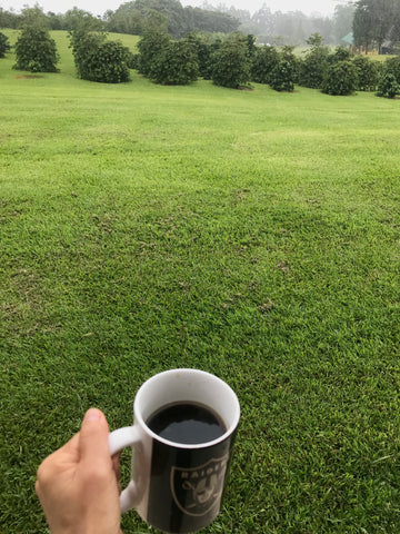 mug of coffee in hand overlooking coffee orchard