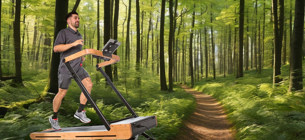 Wooden treadmill in the forest