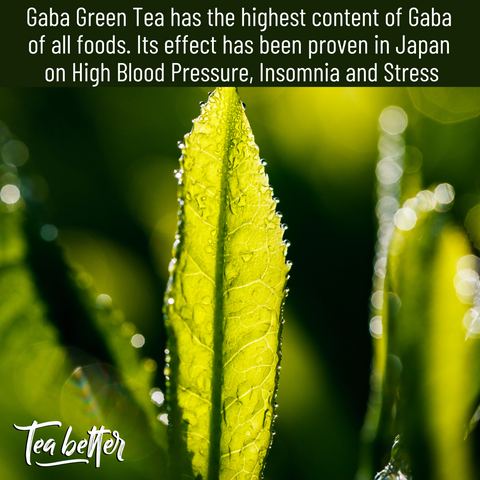 Gaba Green Tea