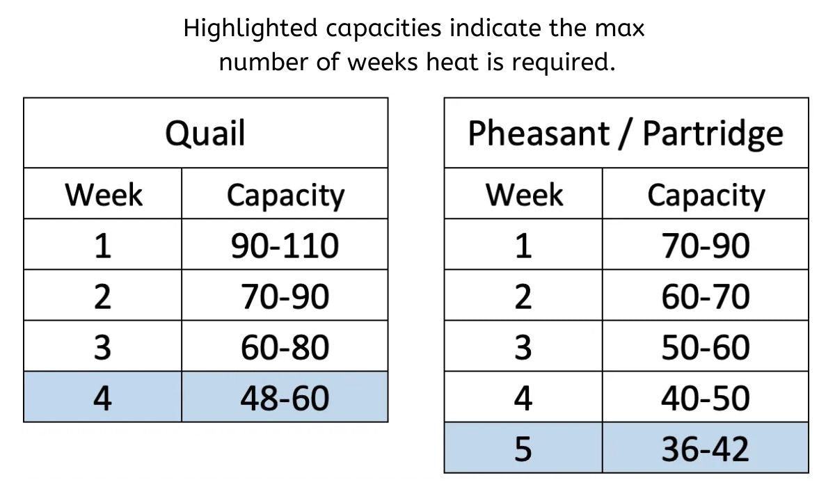 Brooder Capacity (Model CB25-03-2K) - Hatching Time