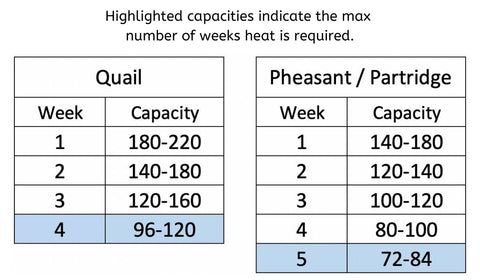 Brooder Capacity (Model CB25-03-4K) - Hatching Time