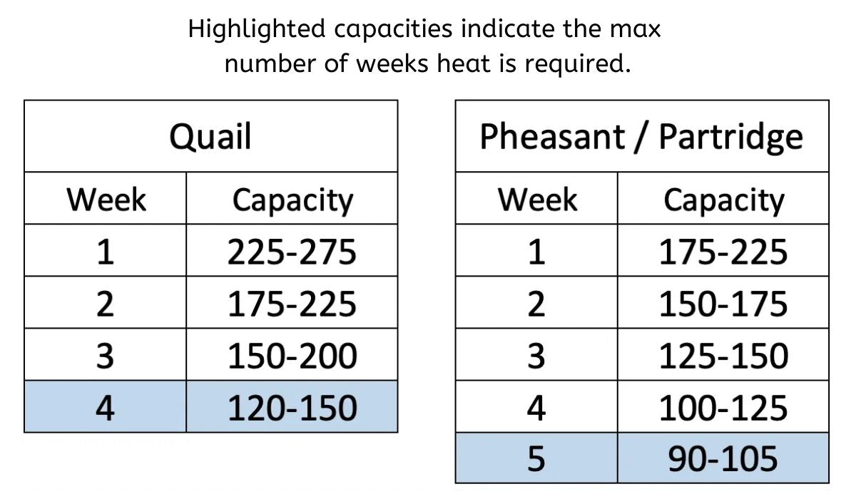 Brooder Capacity (Model CB25-03-5K) - Hatching Time