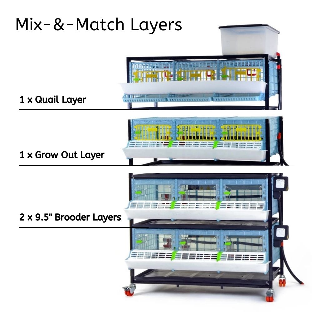 Stack Different COMFORTPLAST Layers to Build Dream Setup - Hatching Time