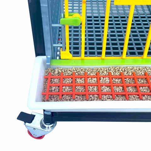 Smart Feeders Reduce Feed Loss Inside And Outside The Grow Out Pen - Hatching Time