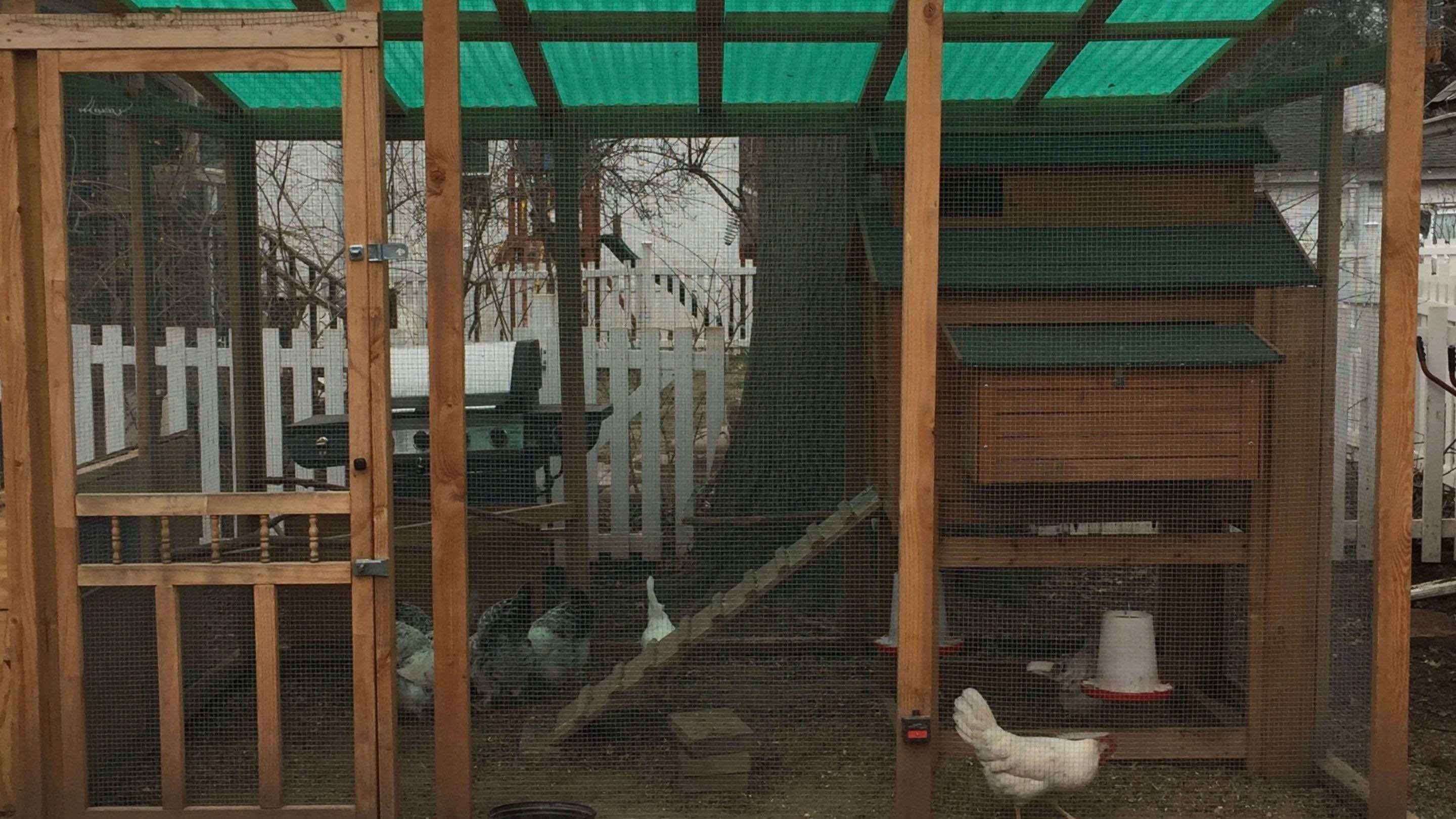 Chicken Coop