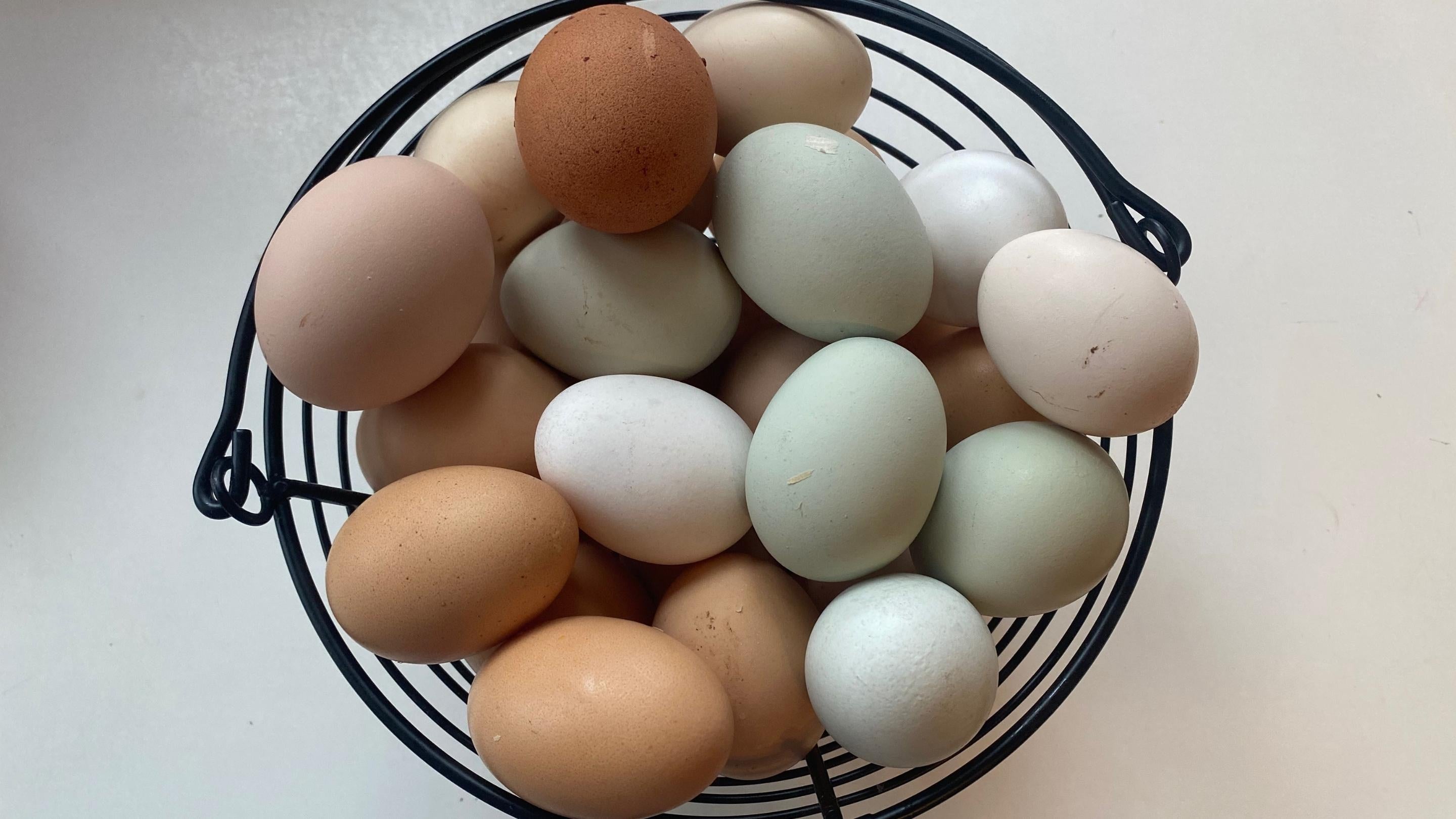 Hatching Time. A basket full of colorful eggs. White, brown and tan eggs are in a wire basket on a white counter.