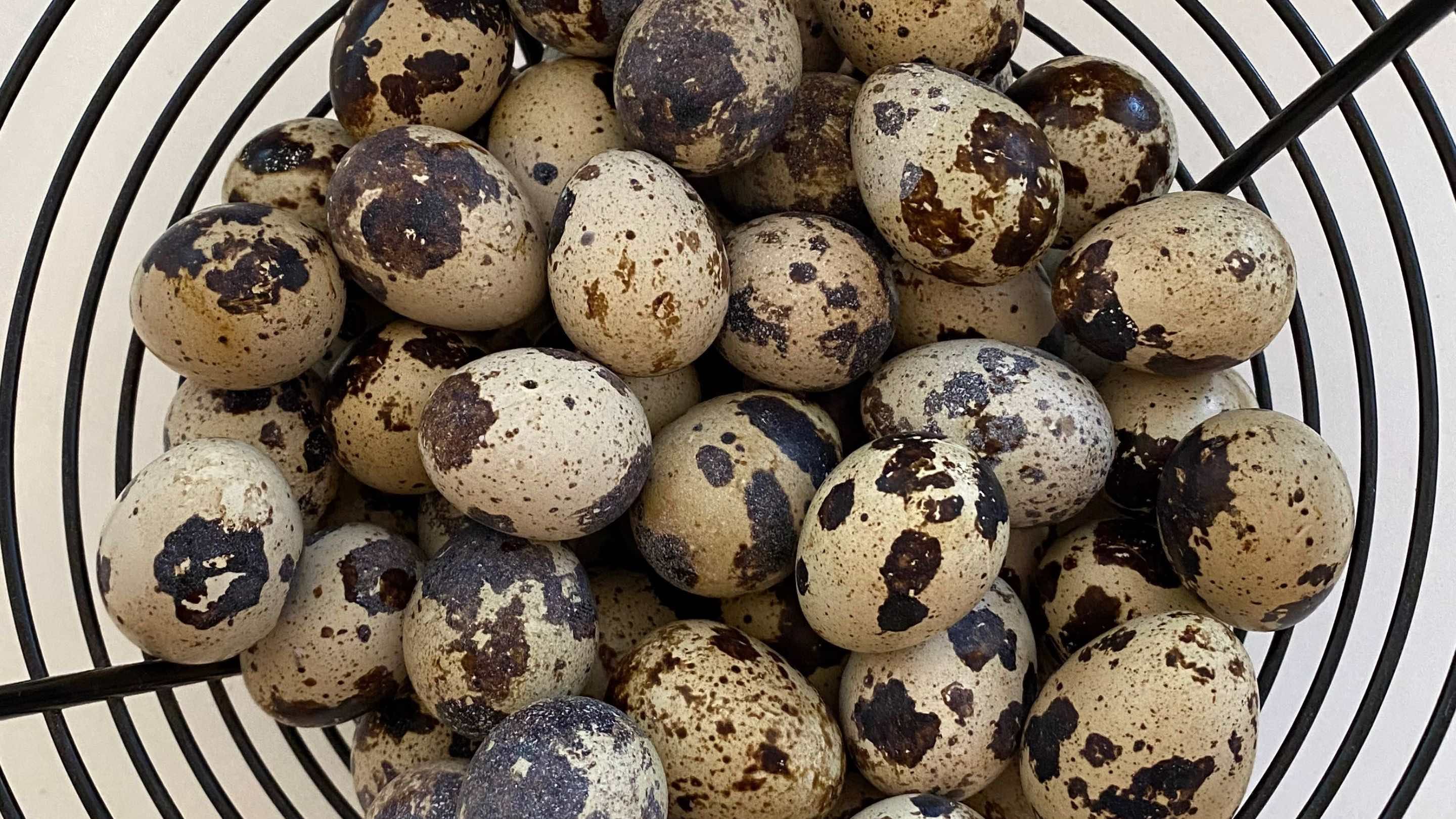 Quail Eggs