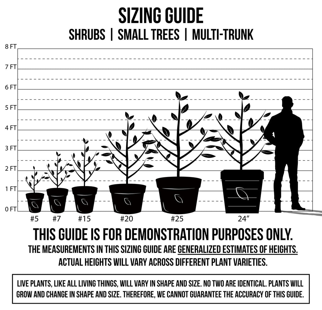Plant Sizing Guide | C&J Gardening Center