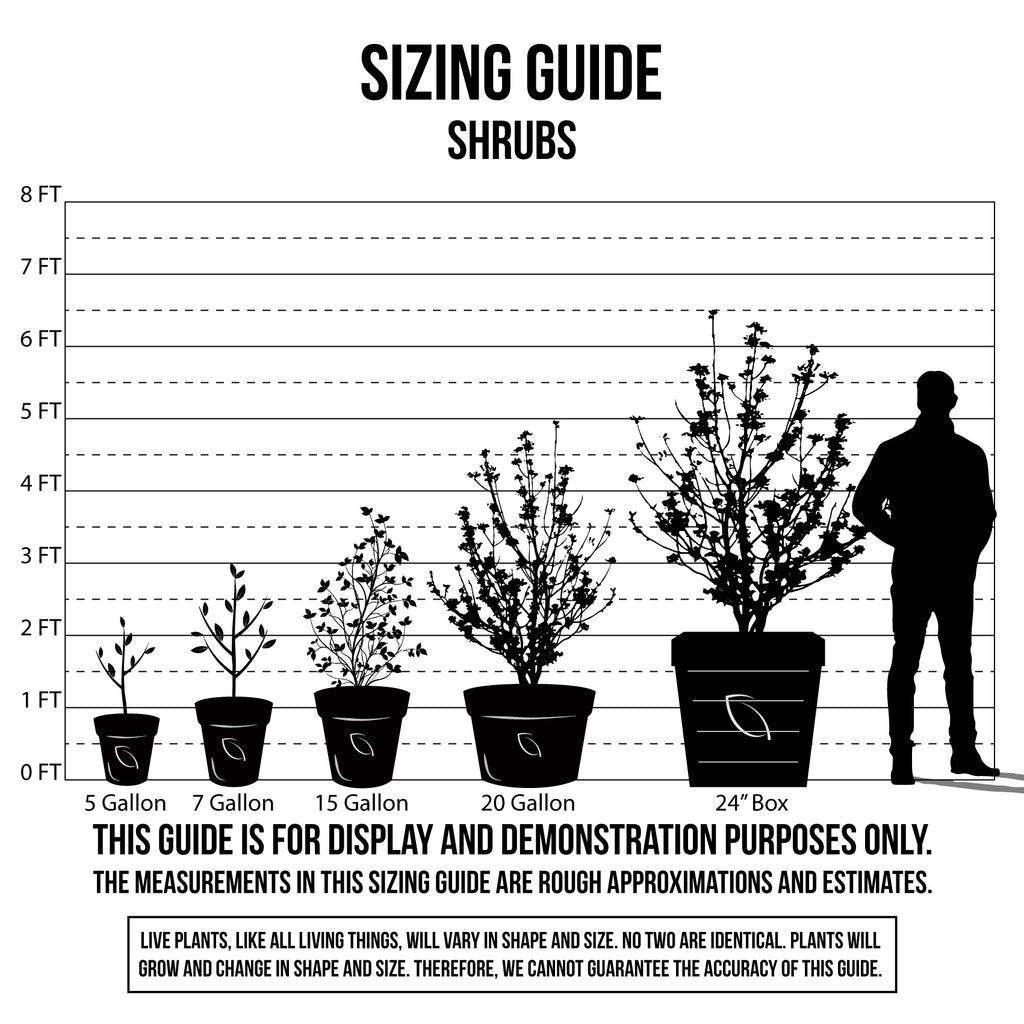 Plant Sizing Guide | C&J Gardening Center