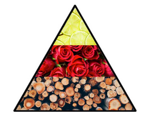 Pyramide parfum tête, coeur, fond
