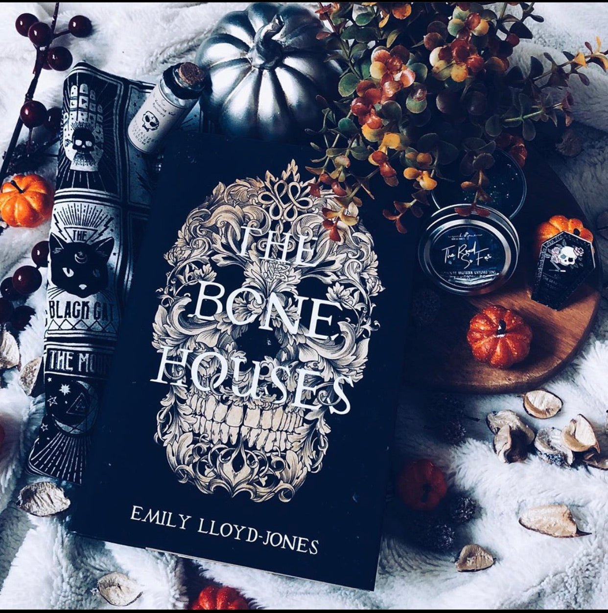 emily lloyd jones the bone houses