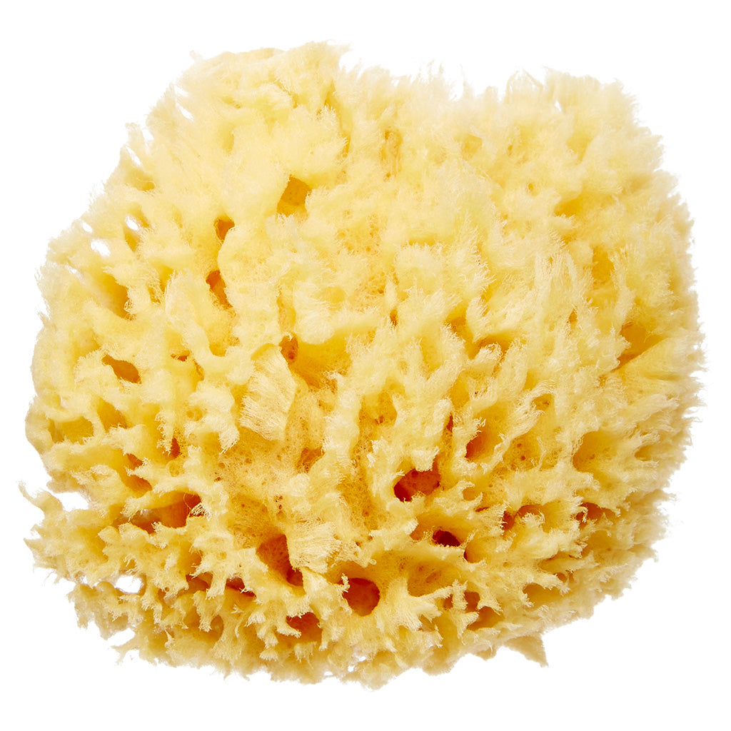 baby natural bath sponge