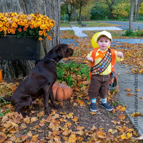 Family Halloween Costumes – Little Wander Shop