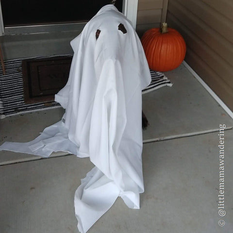 Family Halloween Costumes – Little Wander Shop